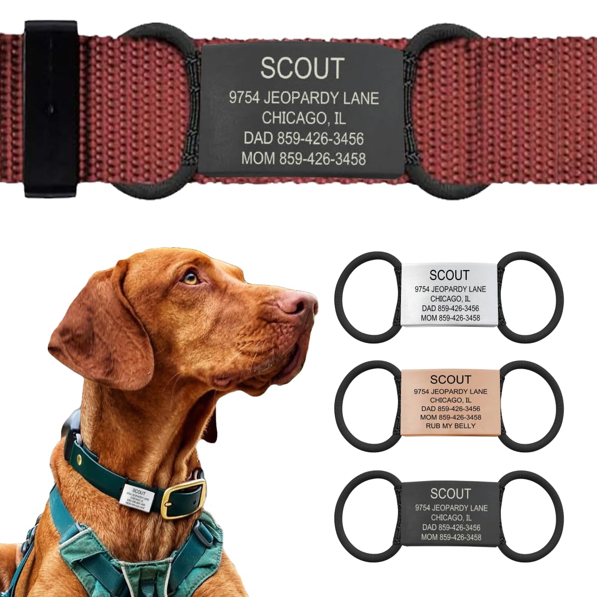 ROAD iD Jingle-Free Slide-On Stainless Steel Dog Tag