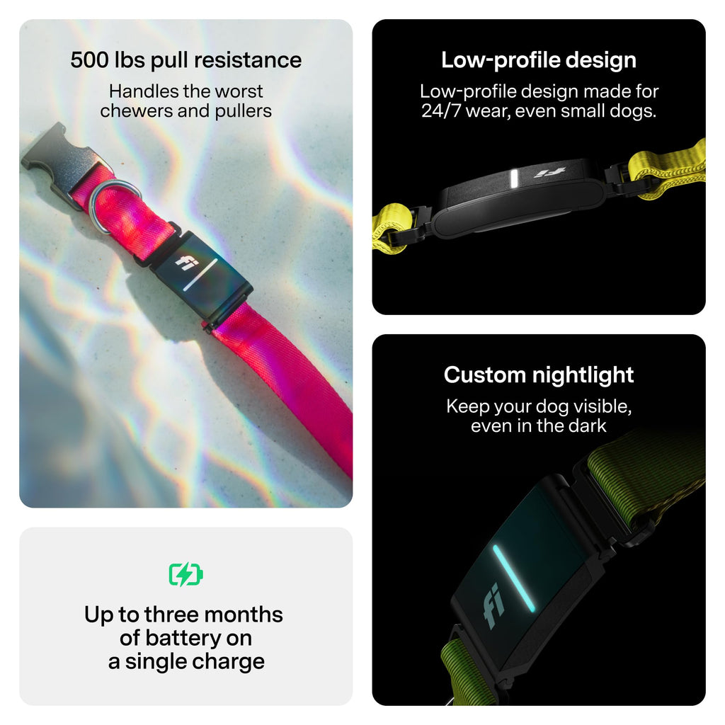 Fi Series 3+ Smart Dog GPS Tracker Collar with Health Monitoring