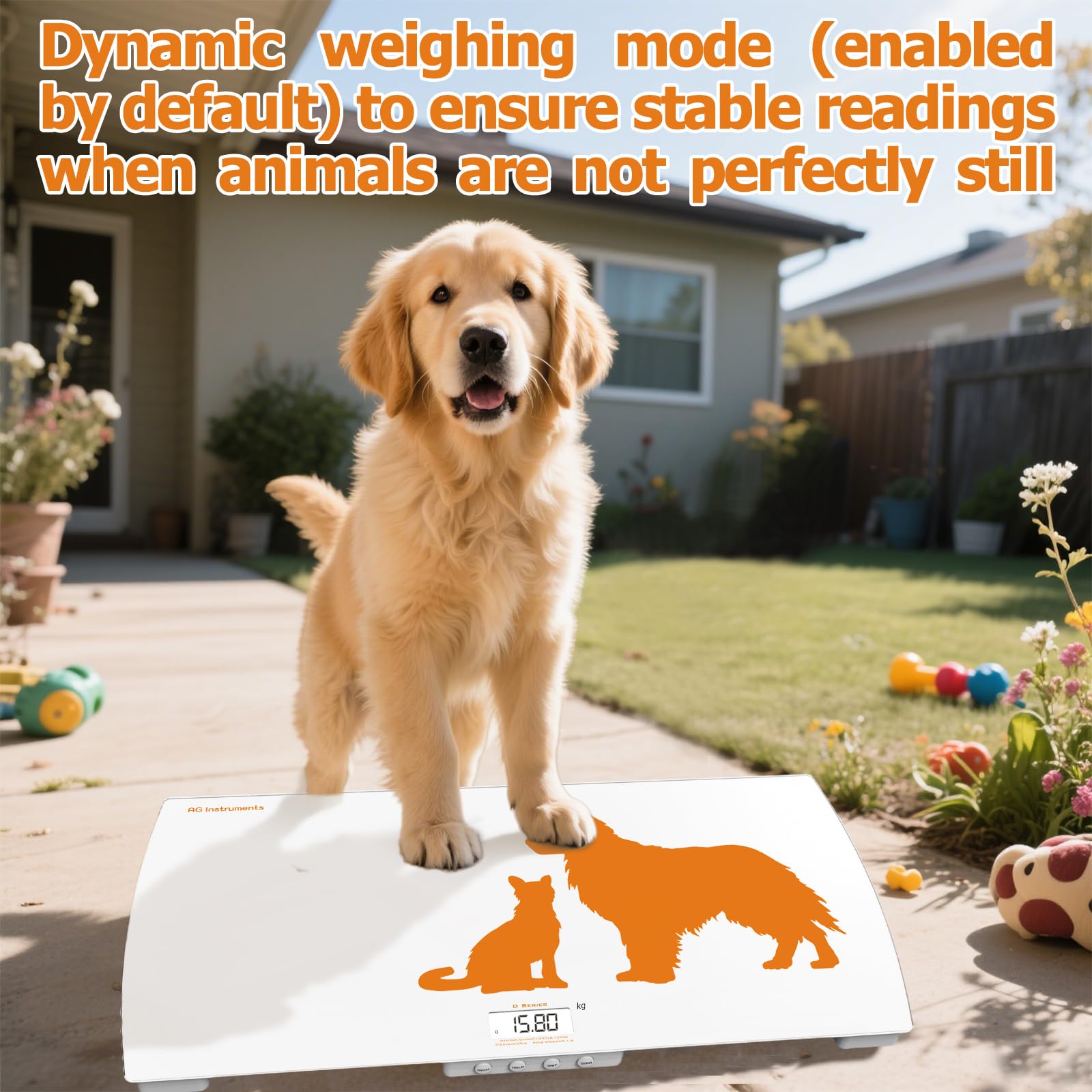 AG Instruments D-Series Glass Floor Scale with Animal Mode