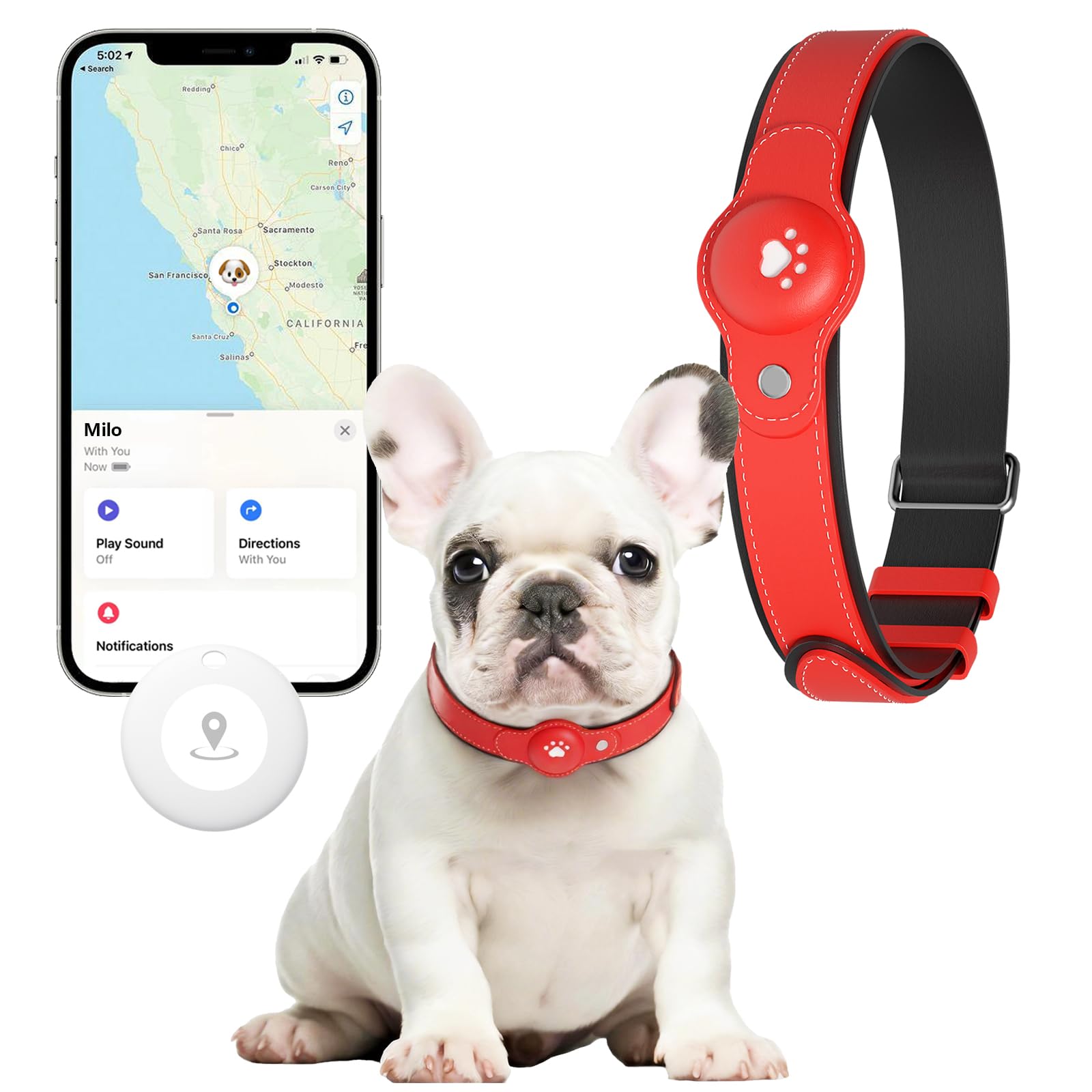 No-Fee 2-in-1 iOS Dog GPS Tracker Collar 365-Day Battery