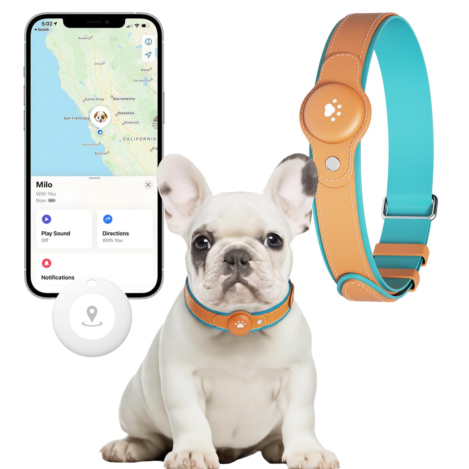 No-Fee 2-in-1 iOS Dog GPS Tracker Collar 365-Day Battery