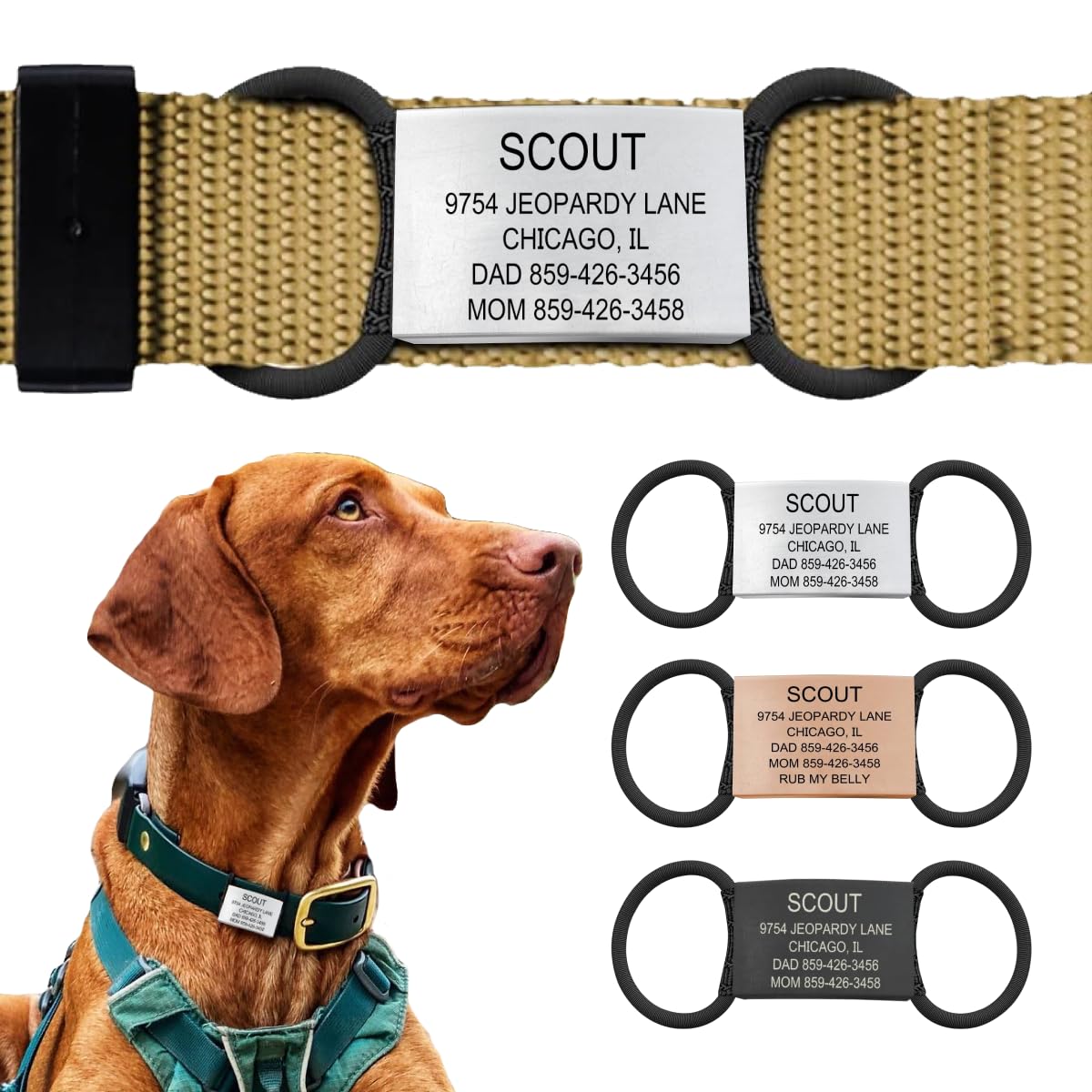 ROAD iD Jingle-Free Slide-On Stainless Steel Dog Tag