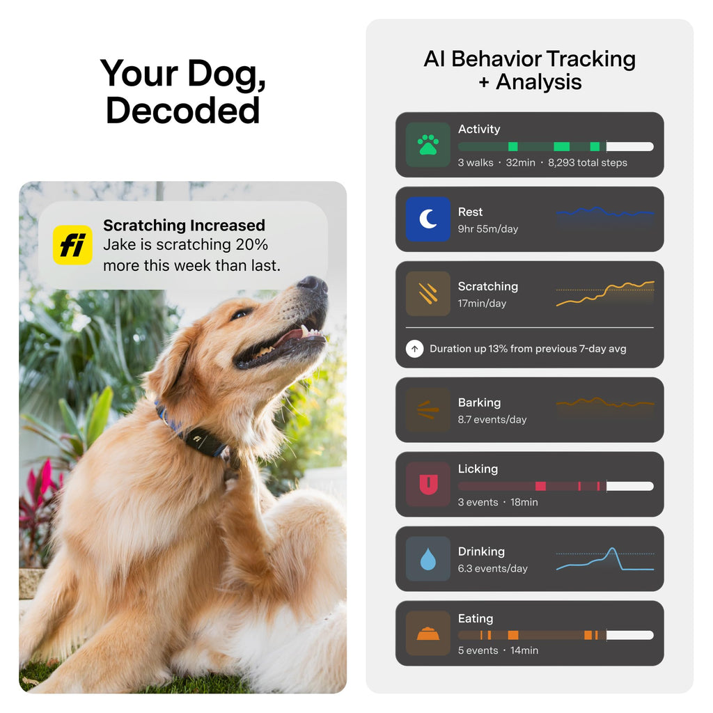 Fi Series 3+ Smart Dog GPS Tracker Collar with Health Monitoring