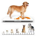 AG Instruments D-Series Glass Floor Scale with Animal Mode