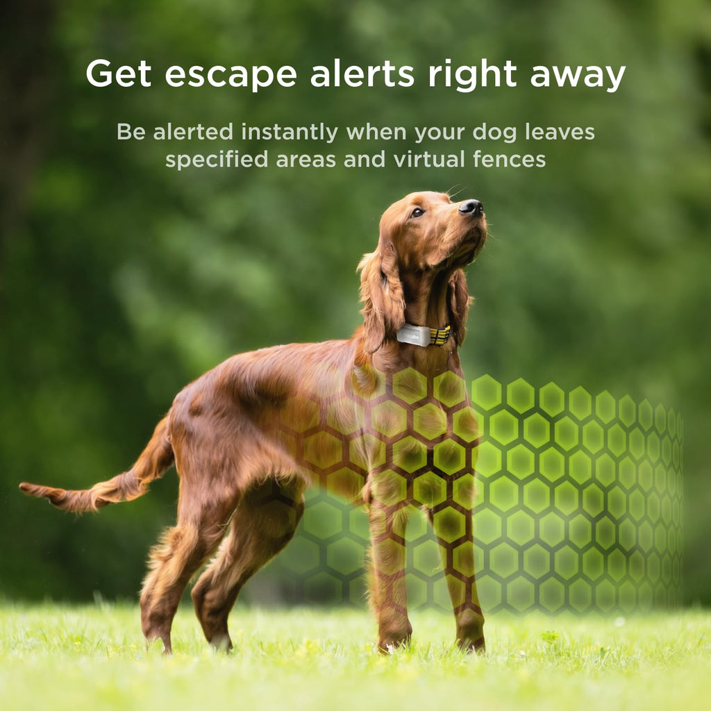 Petcube GPS Dog Tracker with Escape Alerts and Virtual Fence