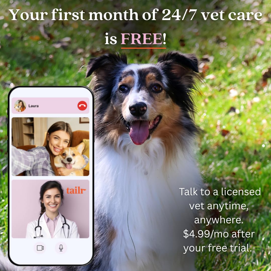Gold QR Code Pet ID Tag with Free Digital Profile