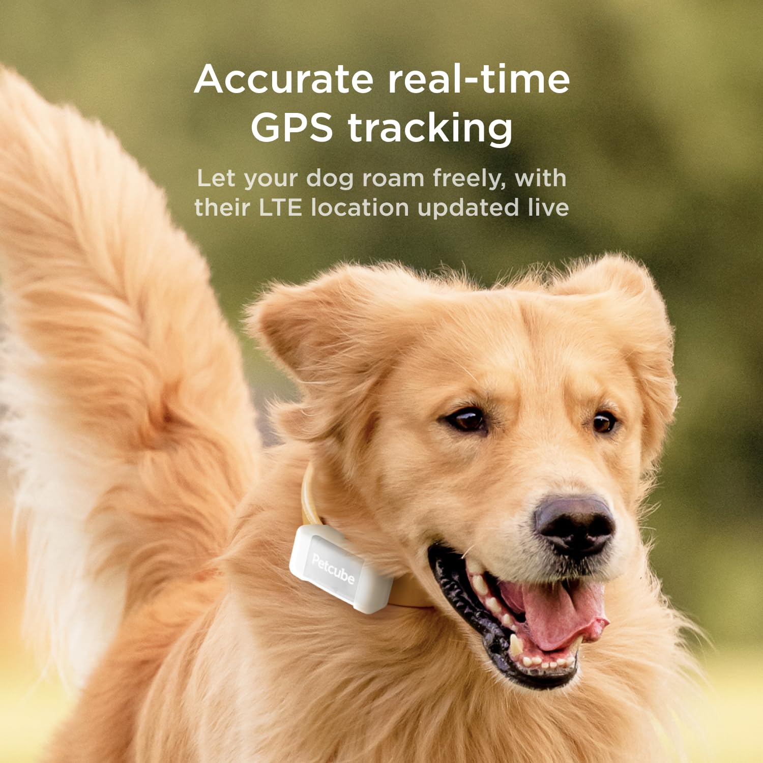 Petcube GPS Dog Tracker with Escape Alerts and Virtual Fence