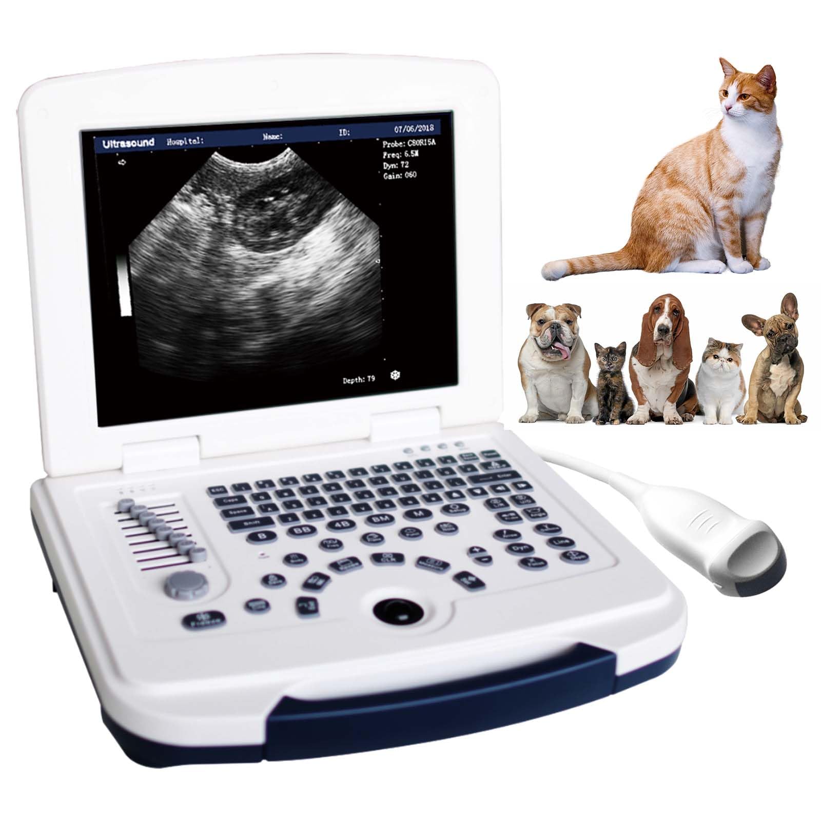 DAWEI Portable Veterinary Ultrasound Scanner for Animals