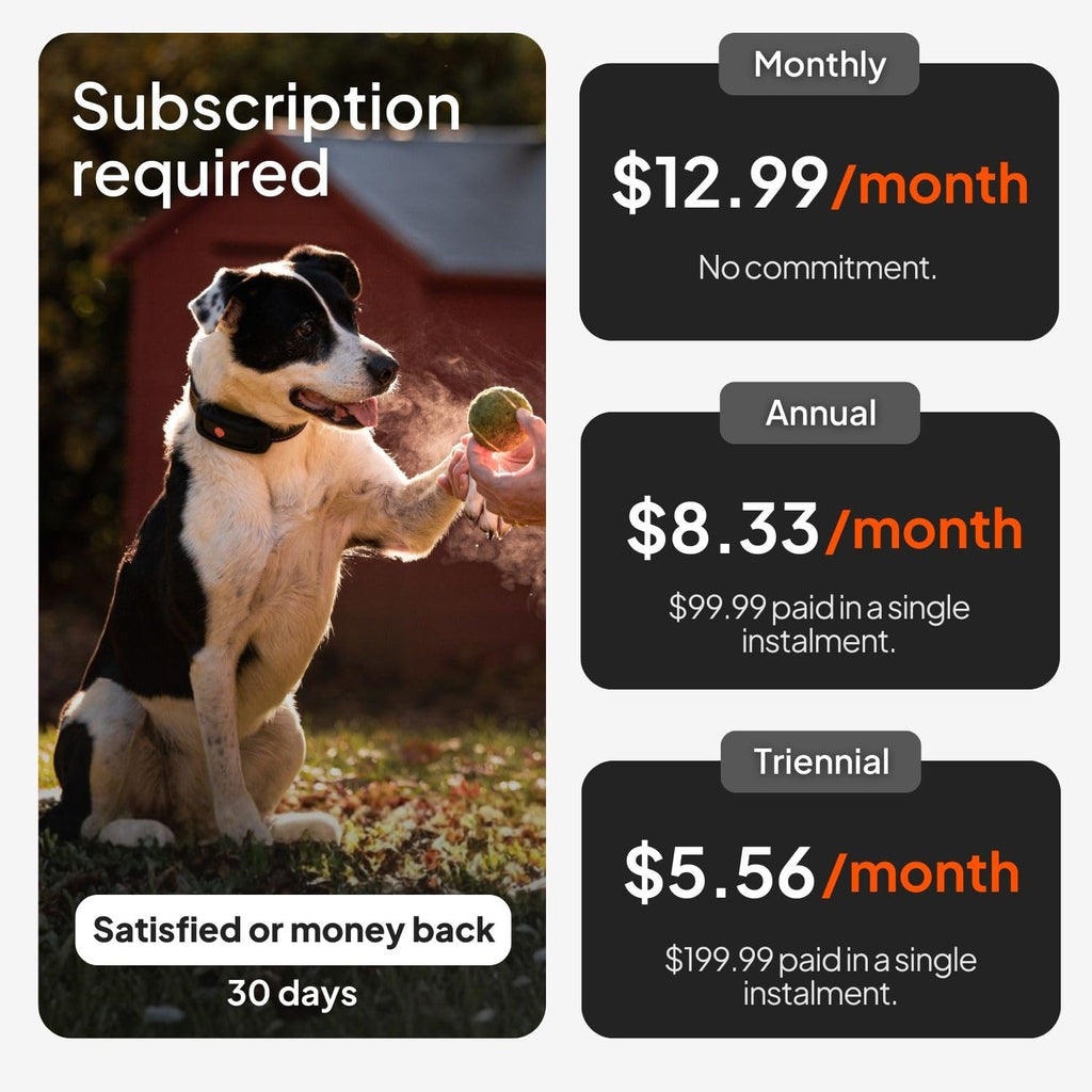 Weenect Dog XT Waterproof GPS Collar with XL Antenna