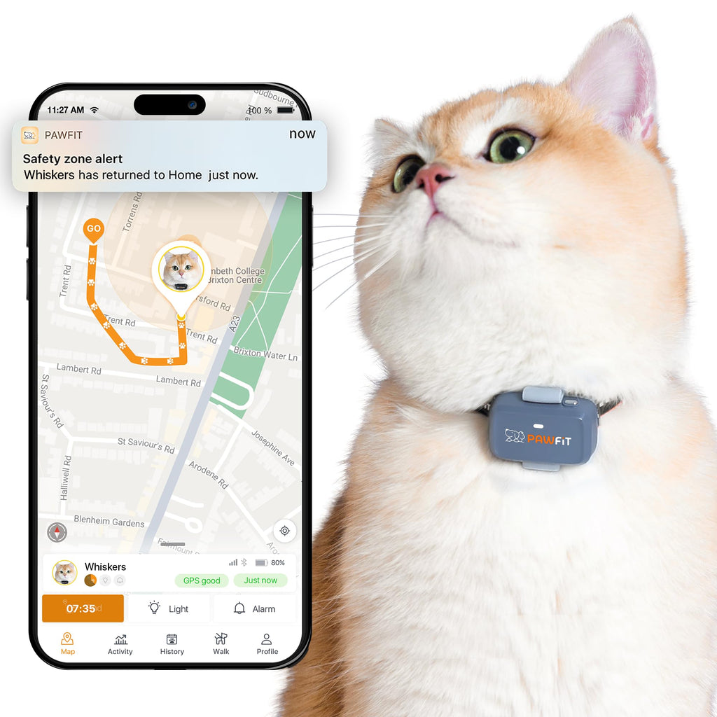 Pawfit Lite 4G Cat GPS Tracker with Safety Collar
