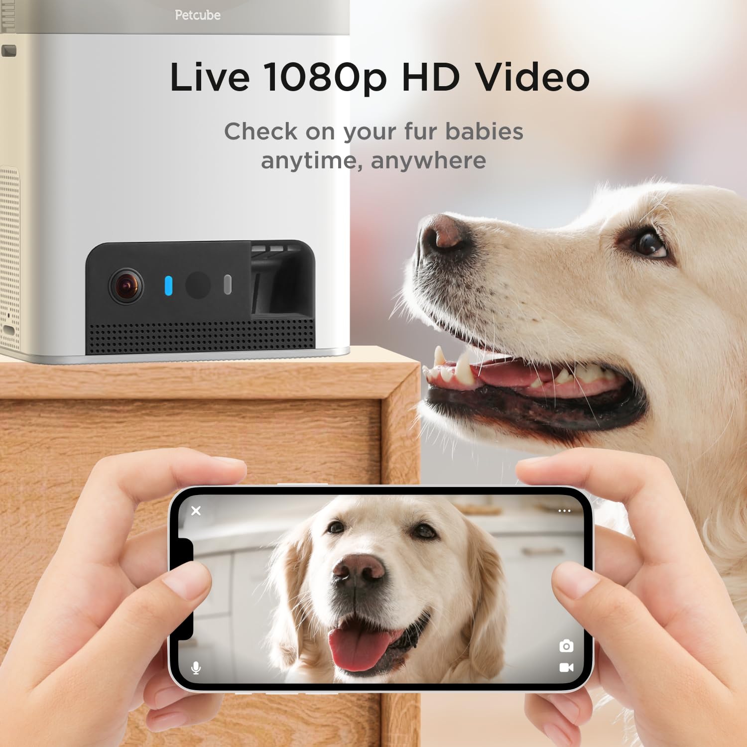 Petcube Bites 2 Lite WiFi Pet Camera with Treat Dispenser
