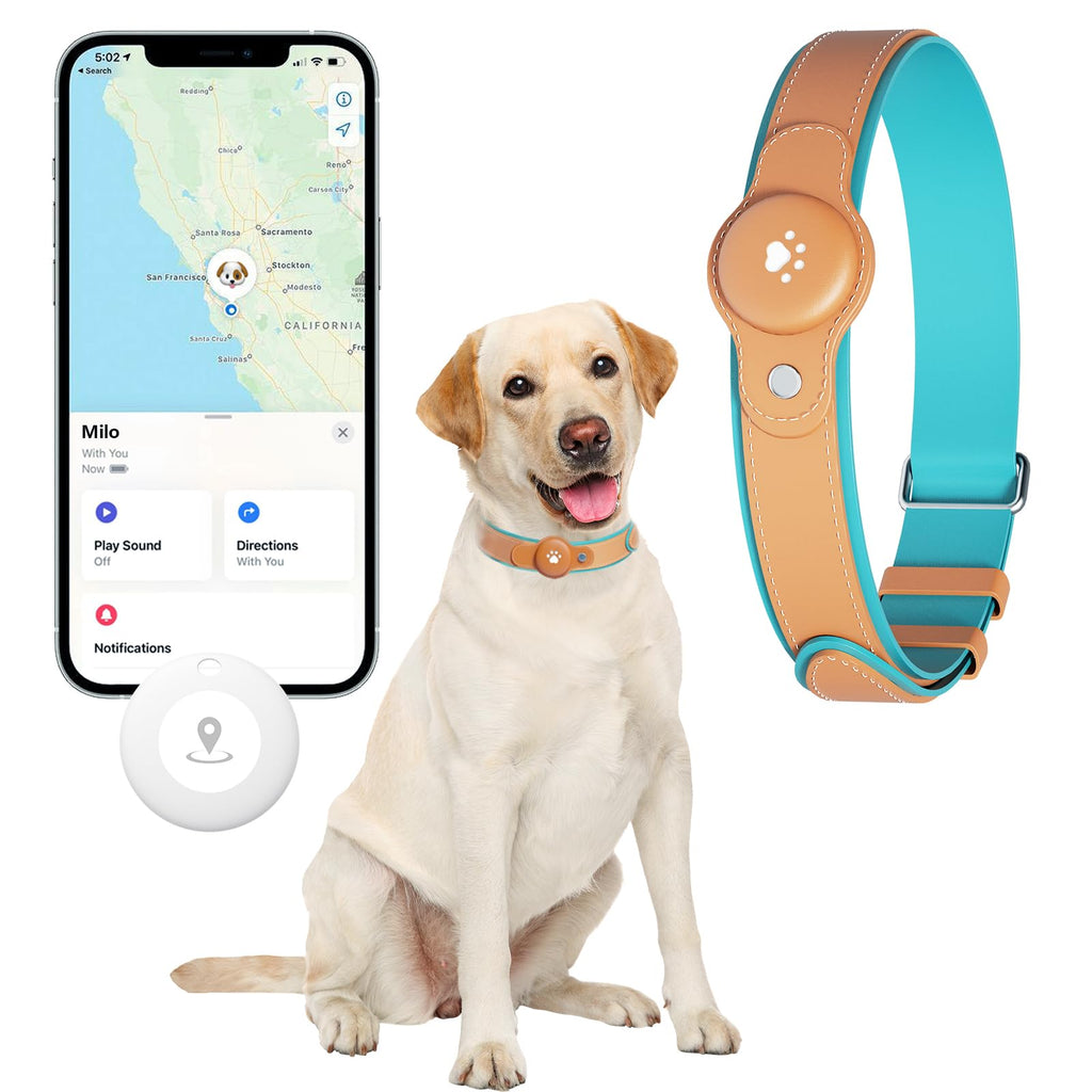 No-Fee 2-in-1 iOS Dog GPS Tracker Collar 365-Day Battery