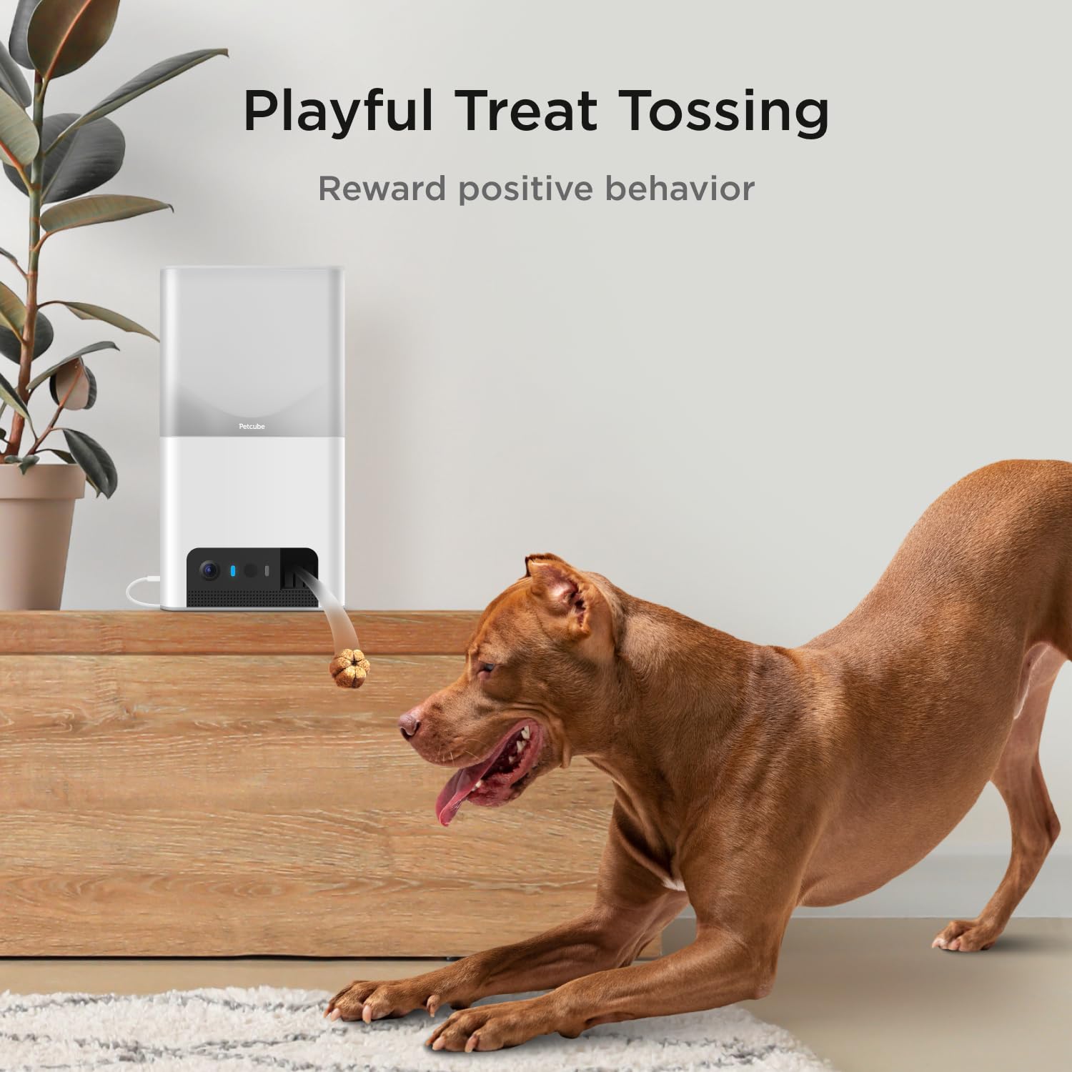 Petcube Bites 2 Lite WiFi Pet Camera with Treat Dispenser