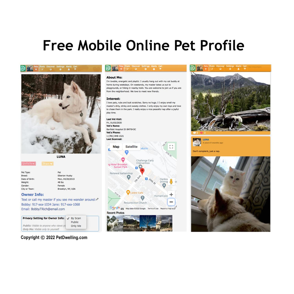 Pet Dwelling QR Code Pet ID Tags with Online Profile