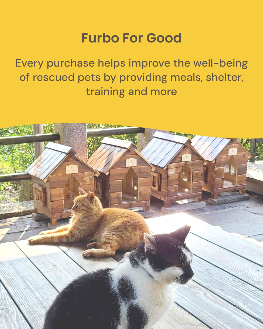 Furbo 360° Smart Pet Camera with Treat Tossing