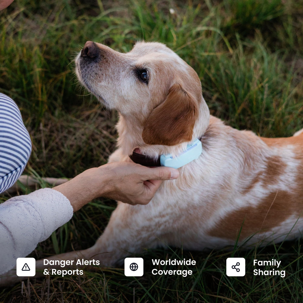Tractive Smart Dog GPS Tracker with Vital Signs Monitoring