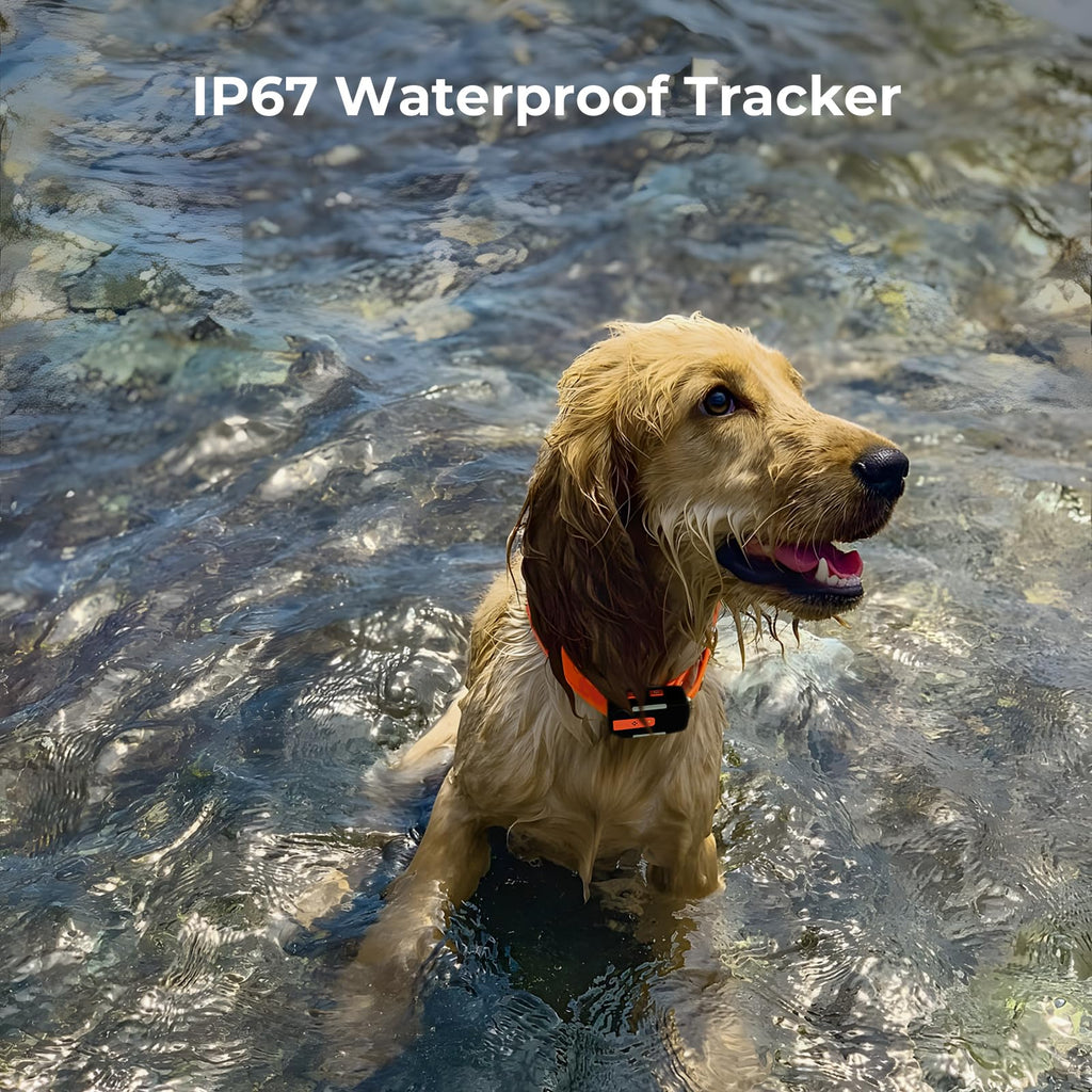 Off-Grid GPS Dog Tracker with Virtual Fence No Monthly Fee