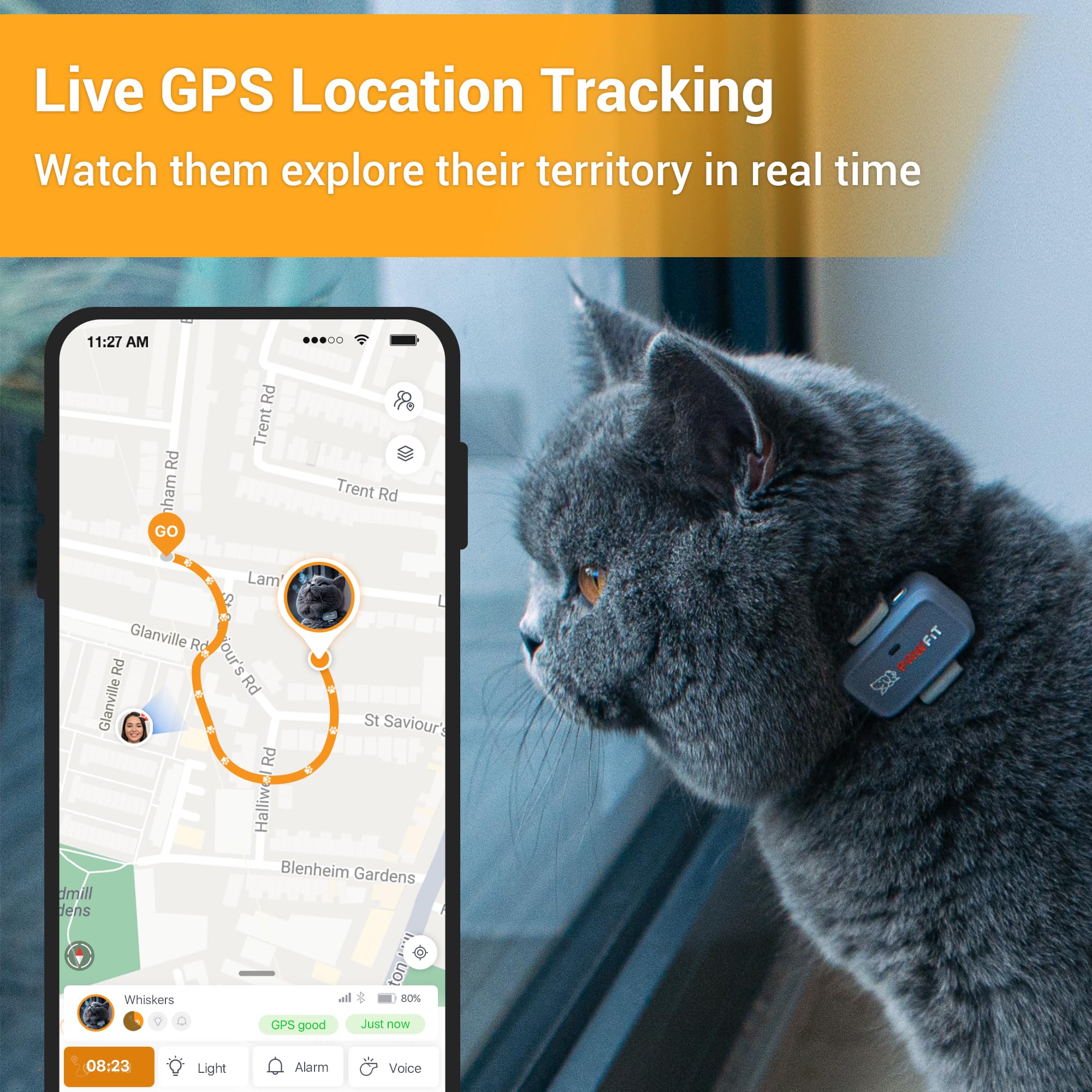 Pawfit Lite 4G Cat GPS Tracker with Safety Collar