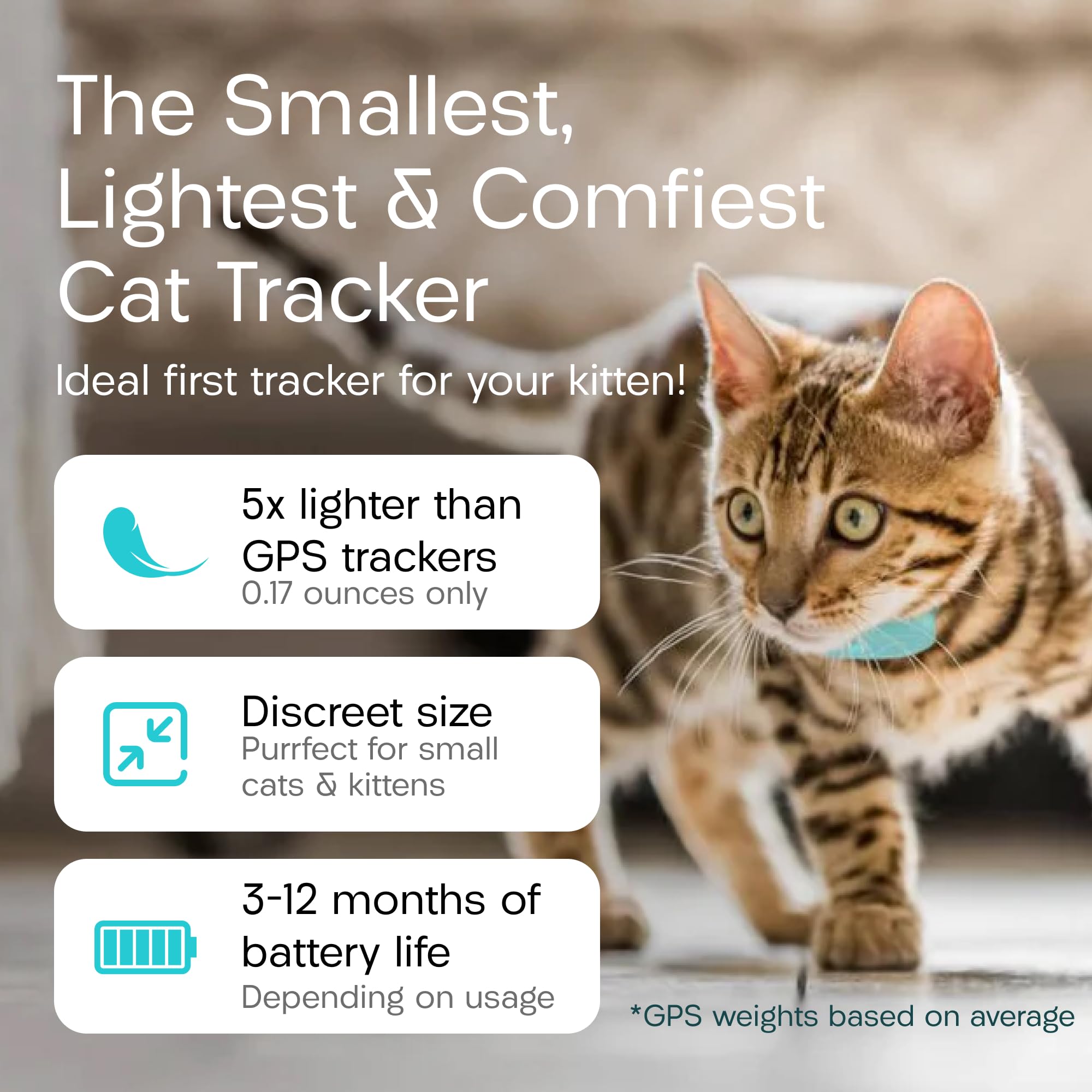 Tabcat V2 No-Fee Cat Tracker with Two Homing Tags