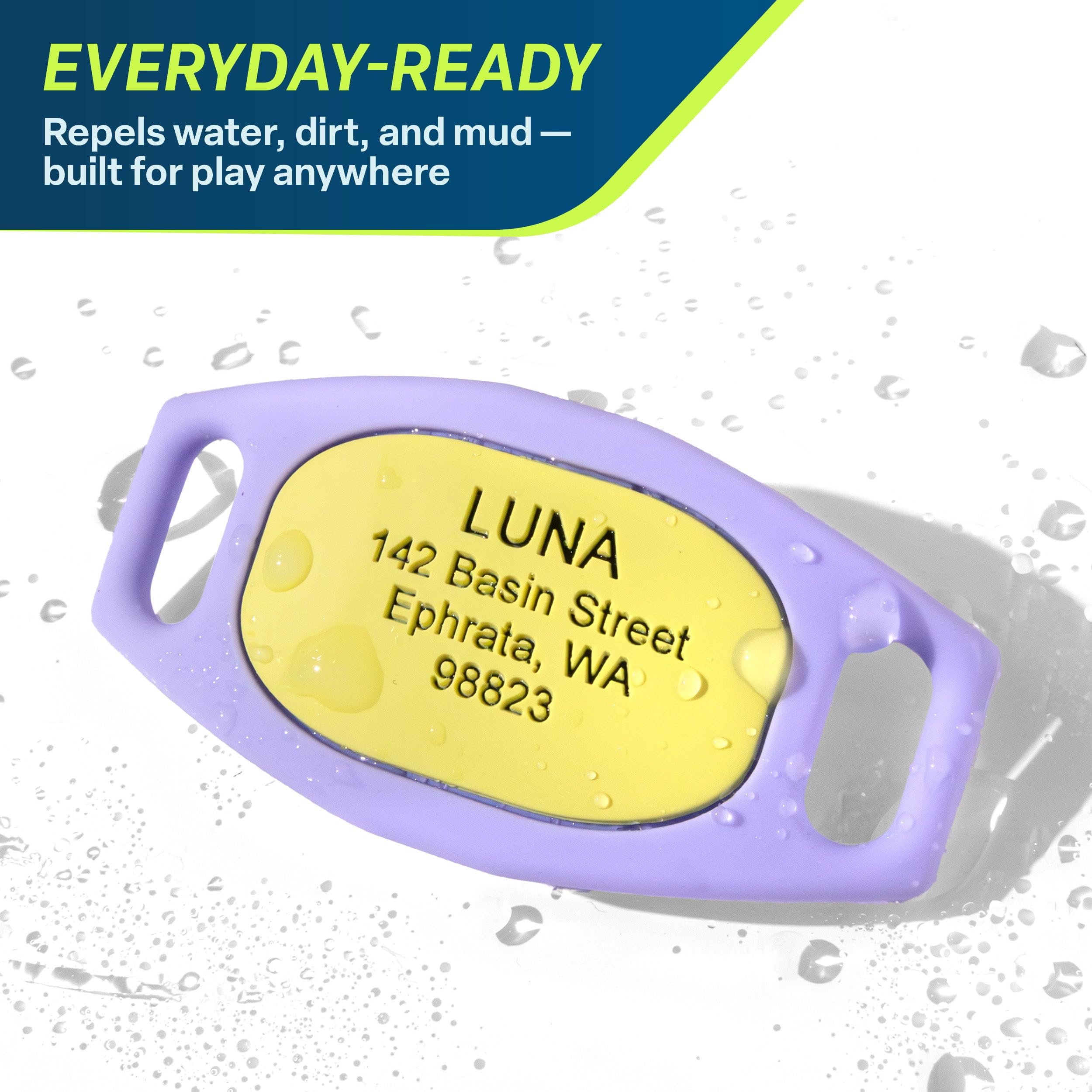GoTags Silent Slide-On Engraved Silicone Pet ID Tag