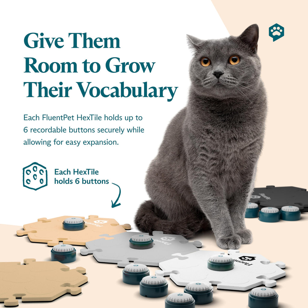 FluentPet Talking Button Kit for Pet Communication
