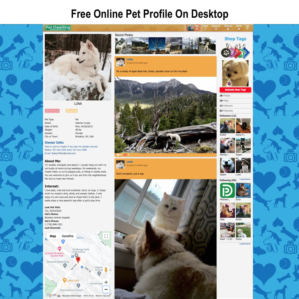 Pet Dwelling QR Code Pet ID Tags with Online Profile