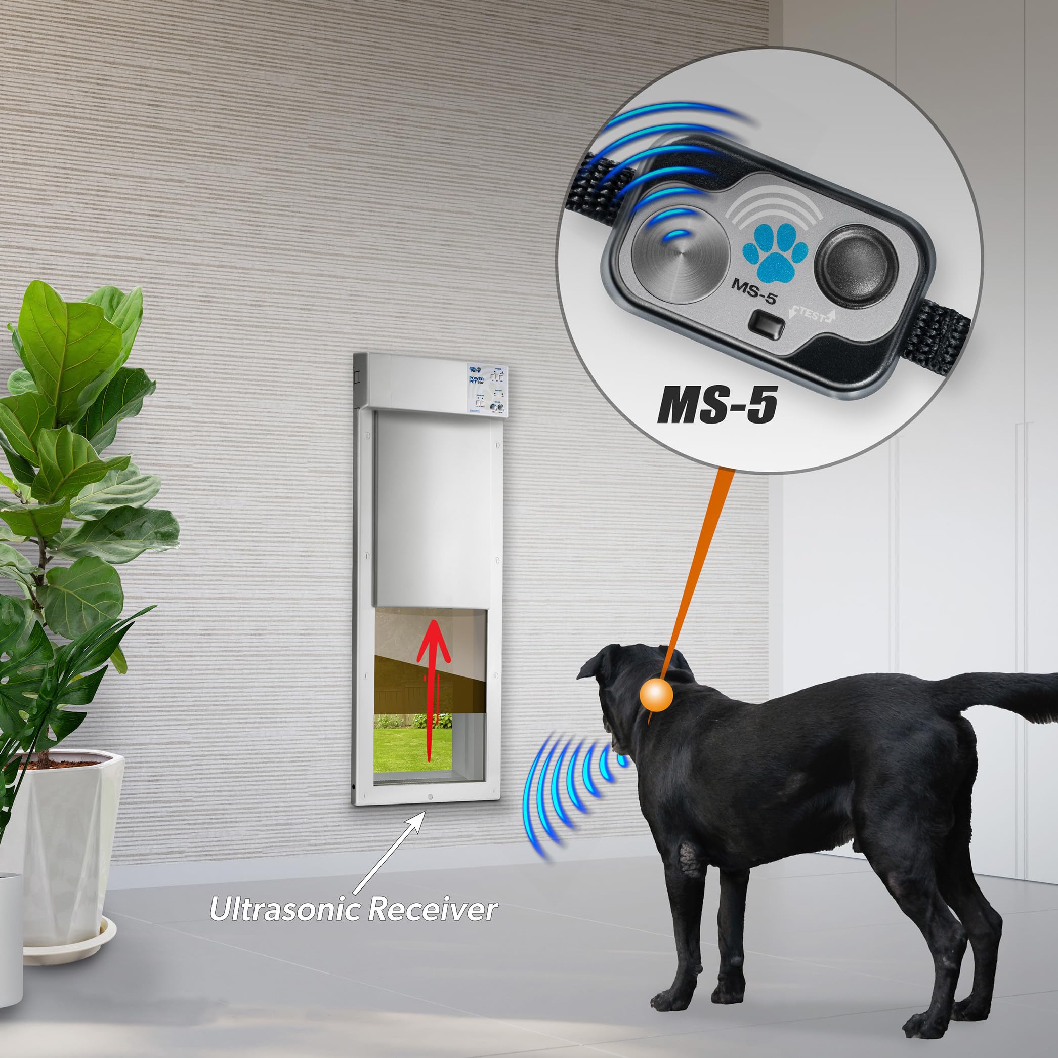 High Tech Pet MS-5 Waterproof Automatic Door Collar
