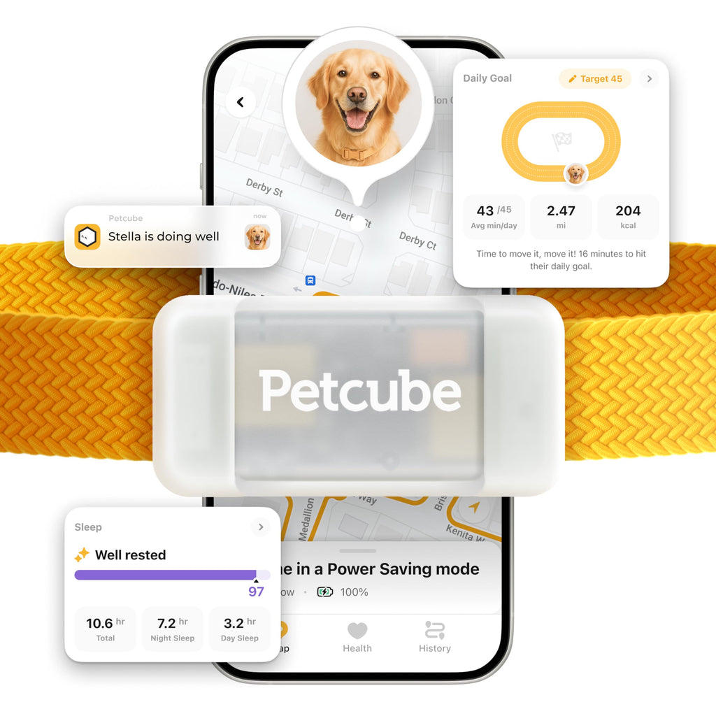 Petcube GPS Dog Tracker with Escape Alerts and Virtual Fence
