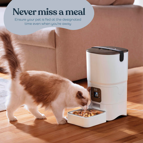 6L Smart Automatic Cat Feeder with LCD Display