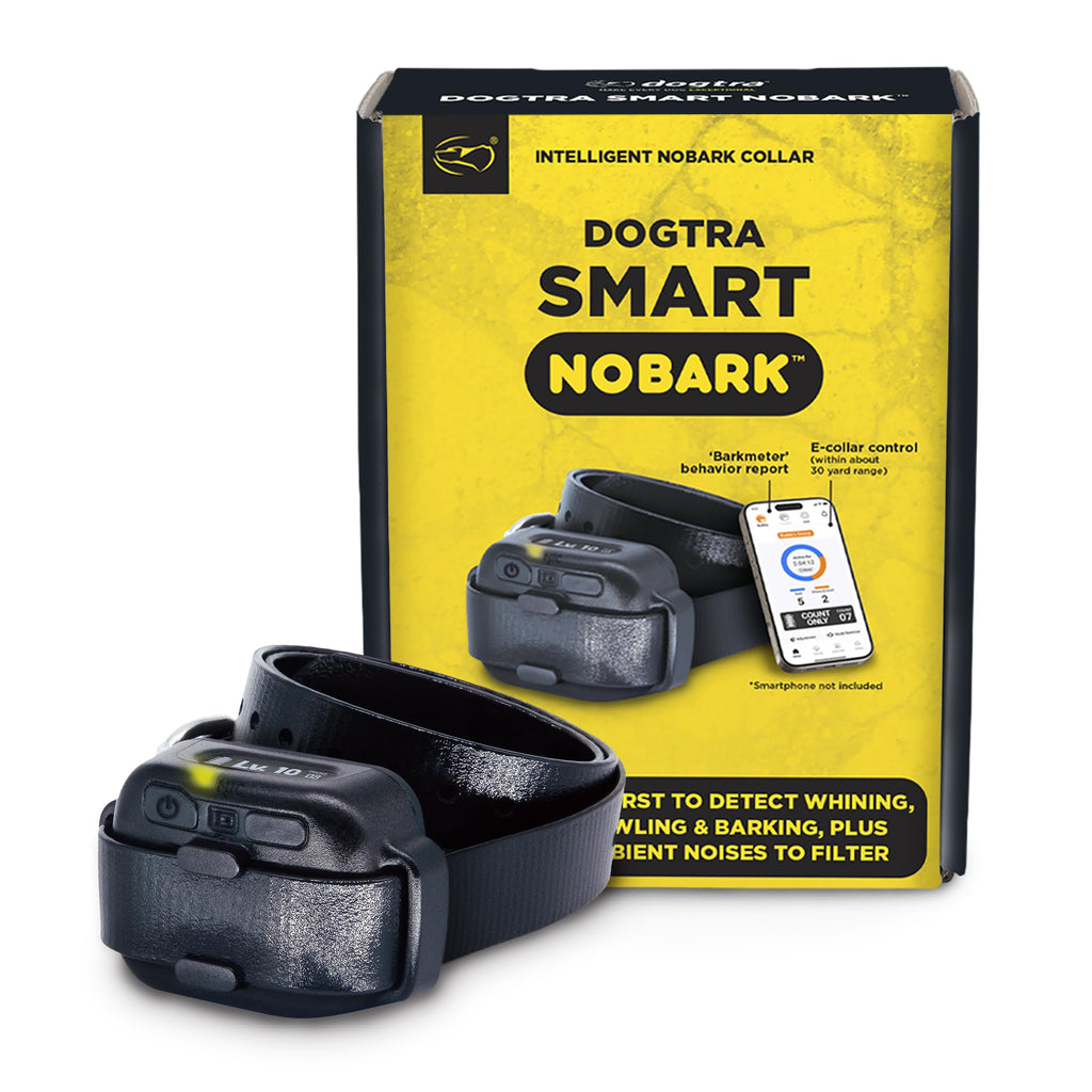 Dogtra Smart NoBark Waterproof App Bark Collar