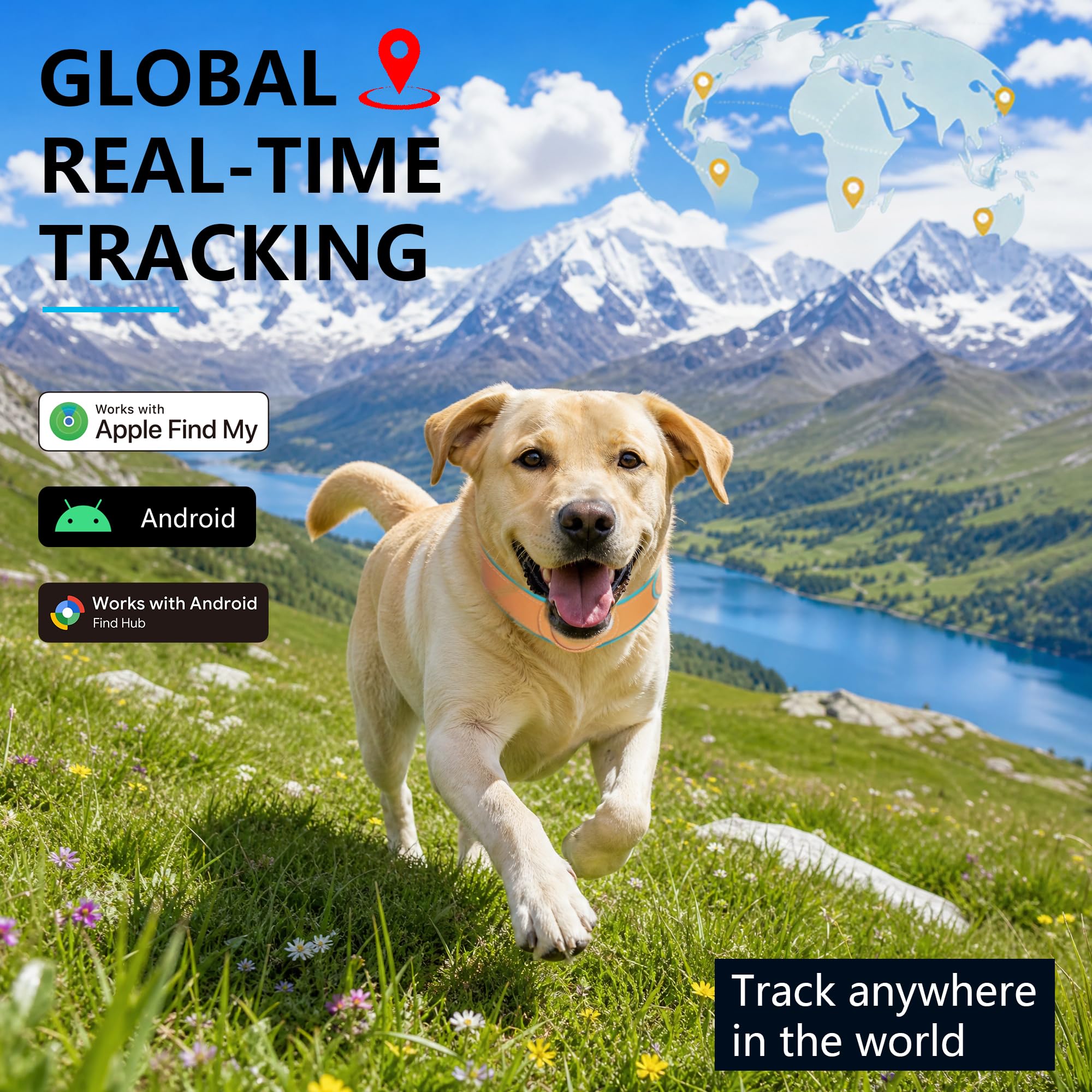 No-Fee 2-in-1 iOS Dog GPS Tracker Collar 365-Day Battery
