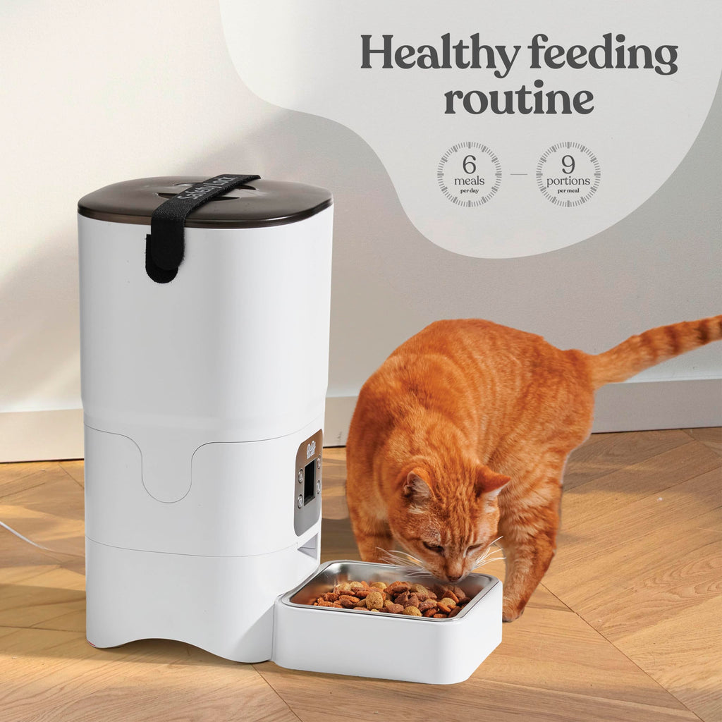 Smart Automatic Cat Feeder - 6-L Reliable Automatic Cat Food Dispenser with Display LCD Screen for Easy Set Up -