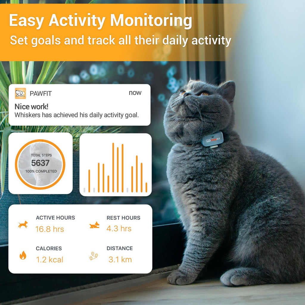 Pawfit Lite 4G Cat GPS Tracker with Safety Collar