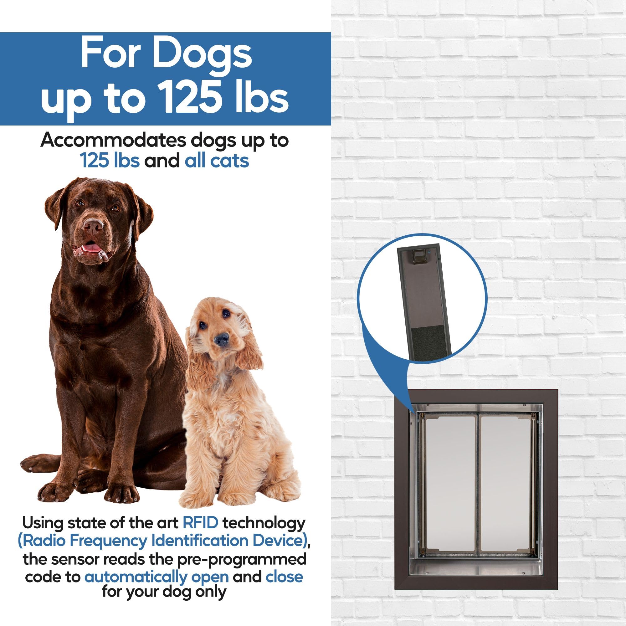Plexidor Large Wall Mount Electronic Pet Door