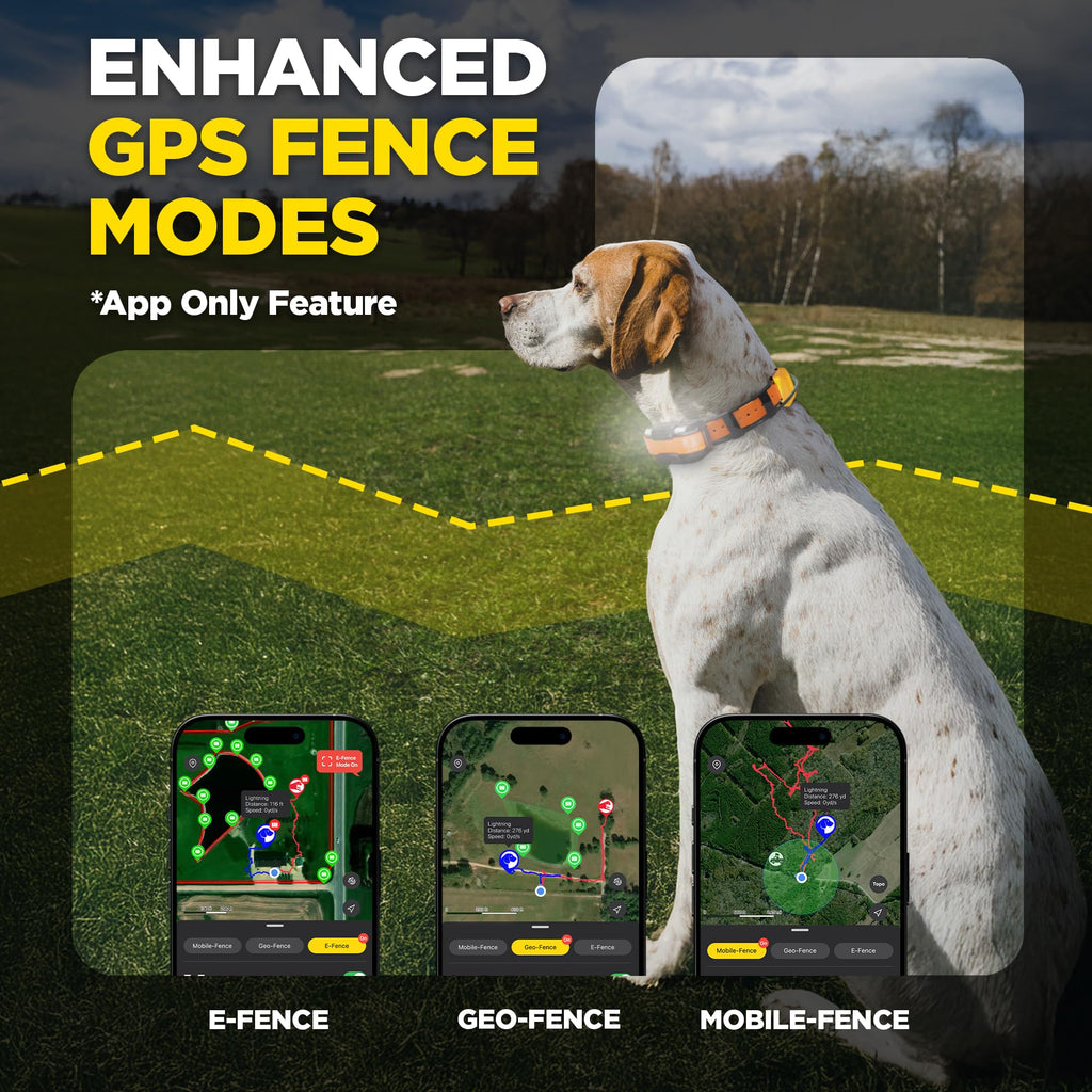 PATHFINDER2 Family Dog GPS Tracking and Training System