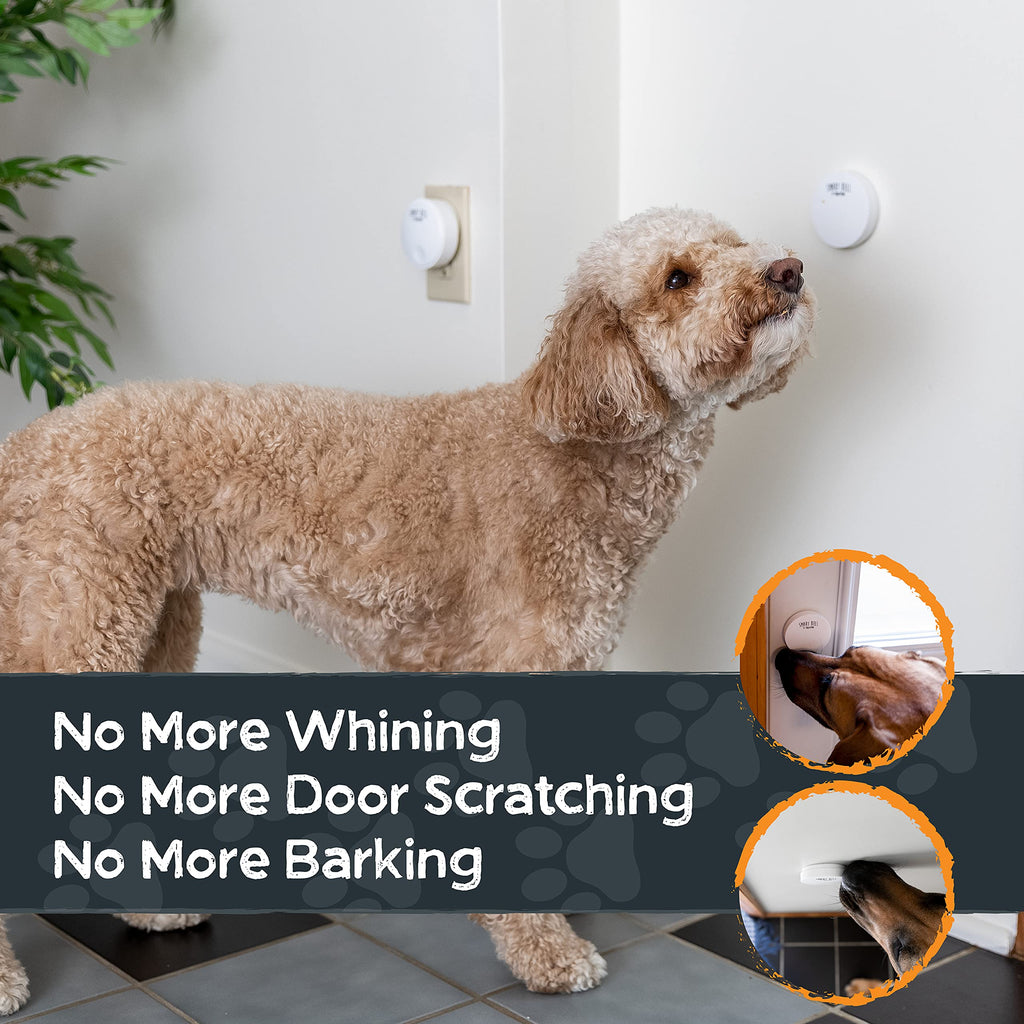 Mighty Paw Smart Dog Door Bell for Potty Training