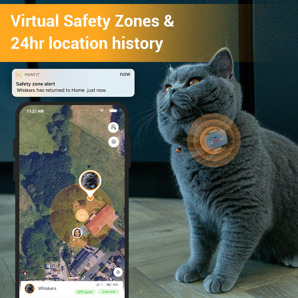 Pawfit Lite 4G Cat GPS Tracker with Safety Collar