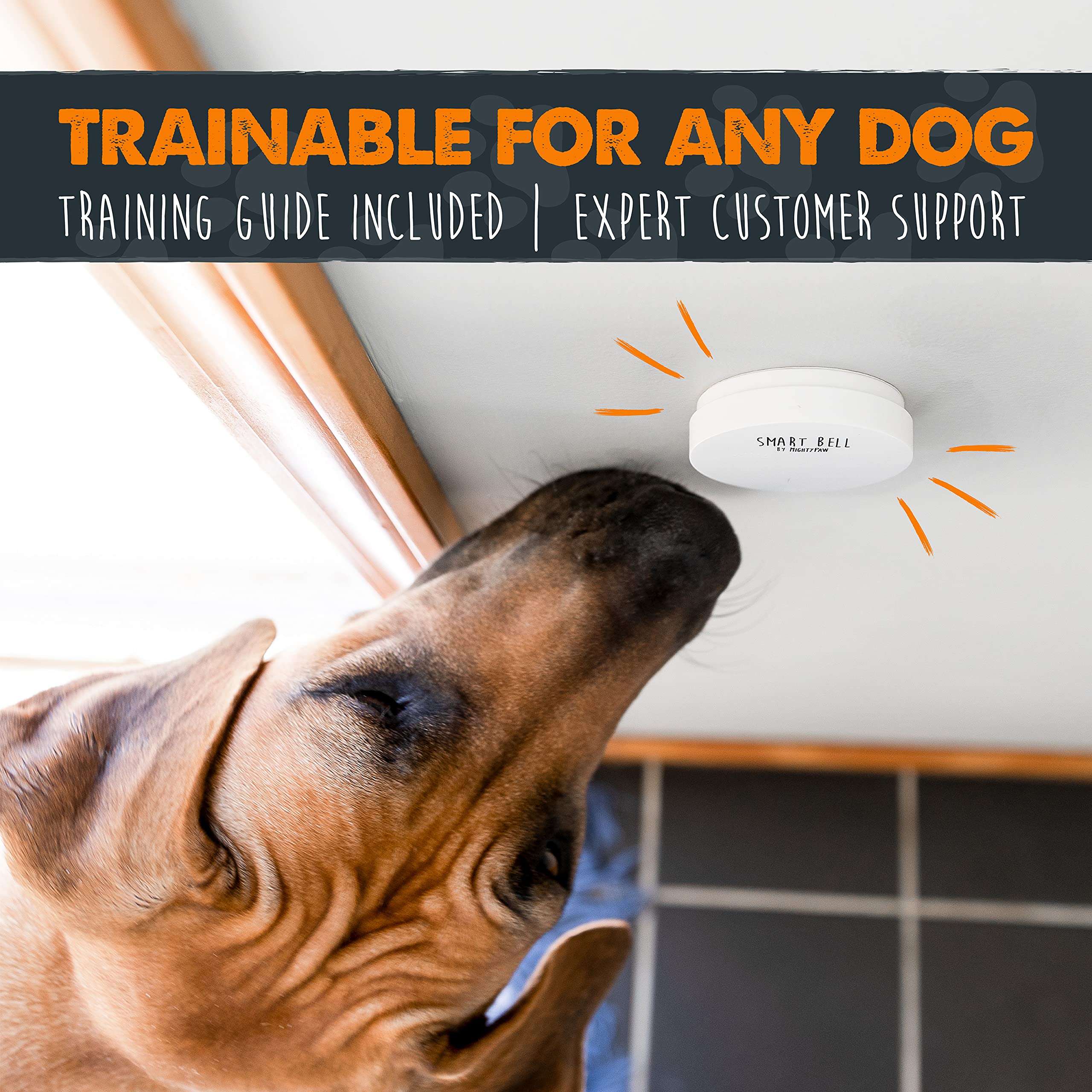 Mighty Paw Smart Dog Door Bell for Potty Training
